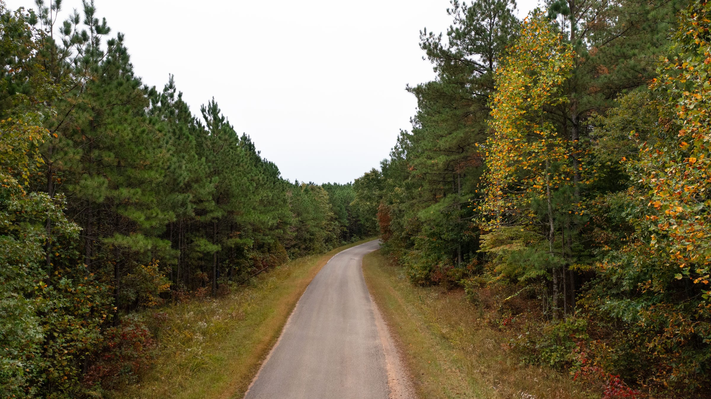 Bear Brook Tract 4 photo 11
