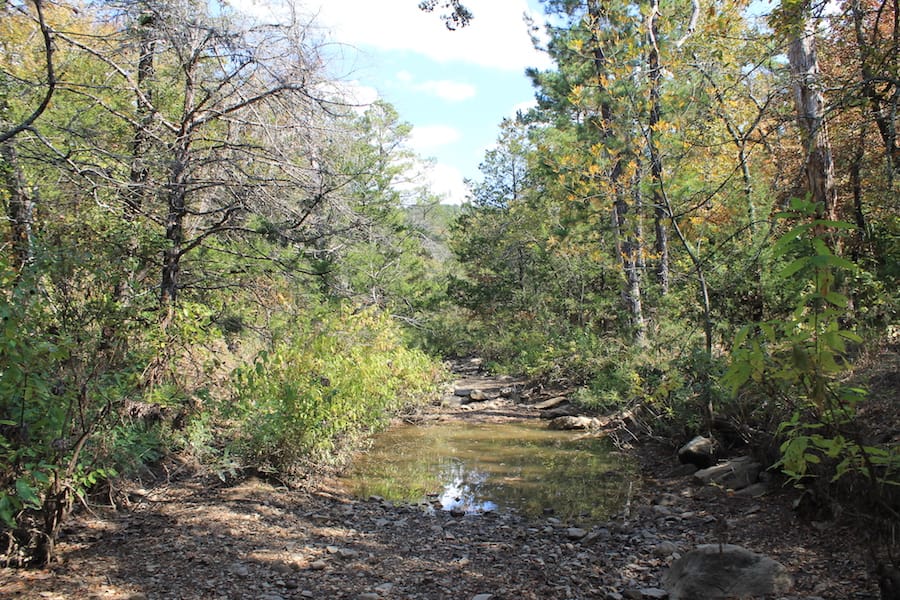 Indian Ridge – Phase III Tract 101 photo 2