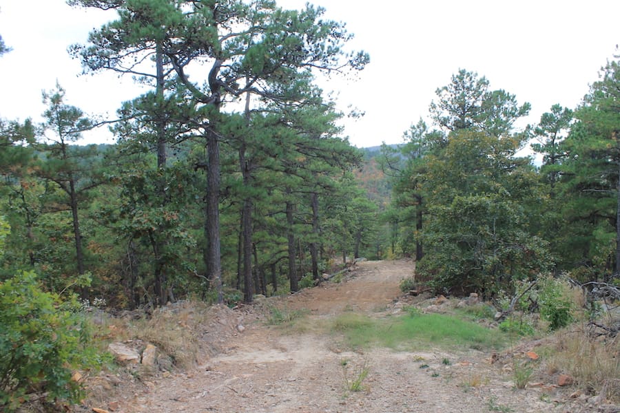 Indian Ridge – Phase III Tract 101 photo 3