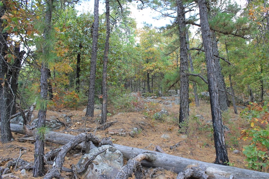 Indian Ridge – Phase III Tract 101 photo 4
