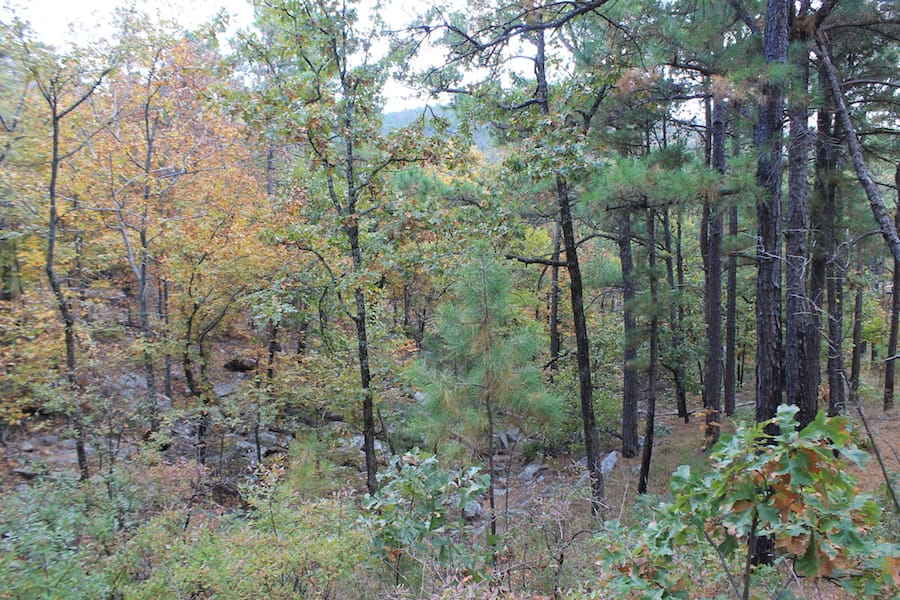Indian Ridge – Phase III Tract 101 photo 5