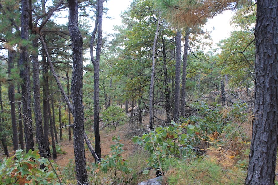 Indian Ridge – Phase III Tract 101 photo 6