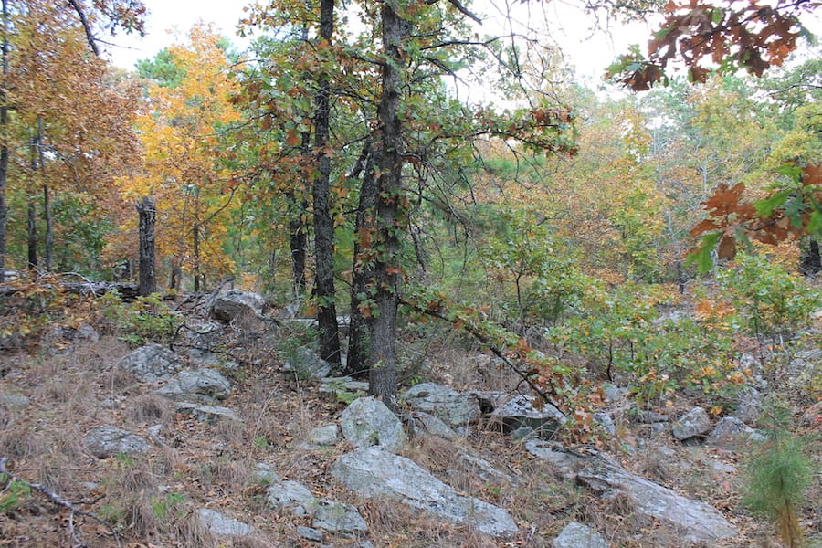 Indian Ridge – Phase III Tract 101 photo 7