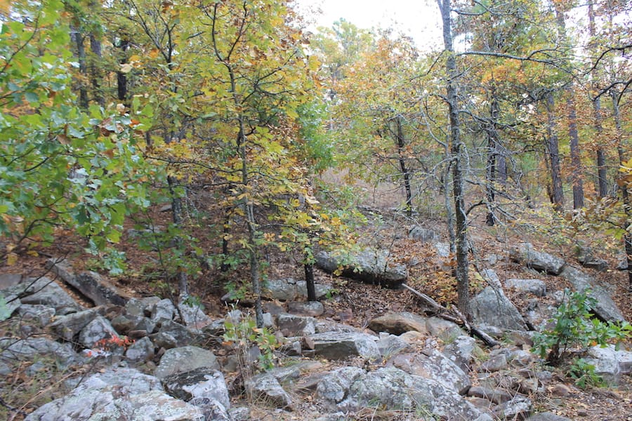 Indian Ridge – Phase III Tract 101 photo 8
