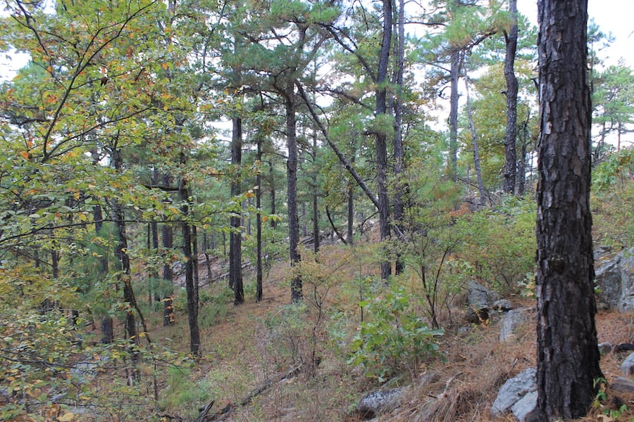 Indian Ridge – Phase III Tract 101 photo 9