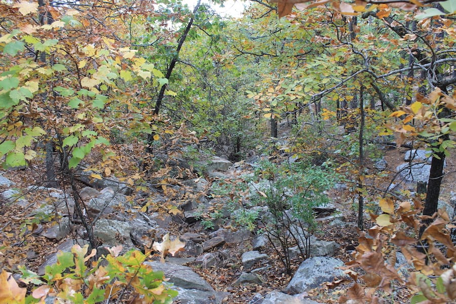 Indian Ridge – Phase III Tract 101 photo 10