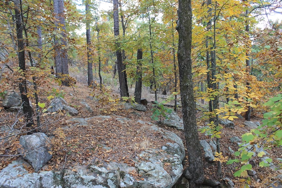 Indian Ridge – Phase III Tract 101 photo 11