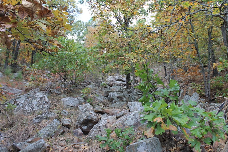 Indian Ridge – Phase III Tract 101 photo 12