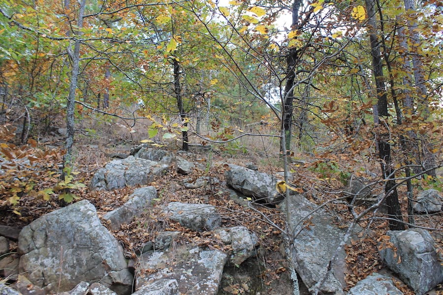 Indian Ridge – Phase III Tract 101 photo 13