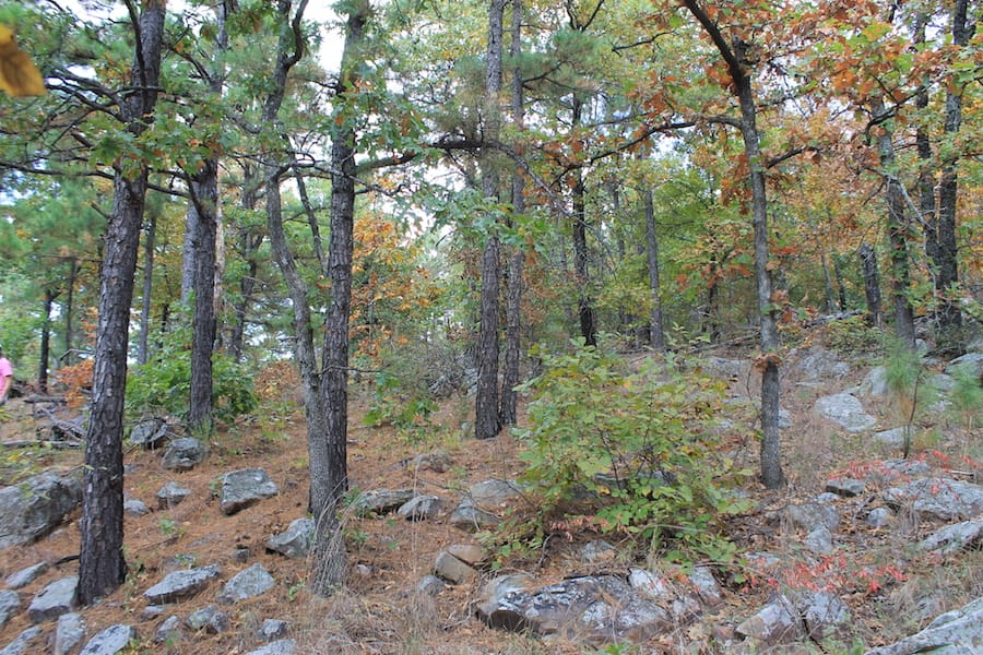 Indian Ridge – Phase III Tract 101 photo 14