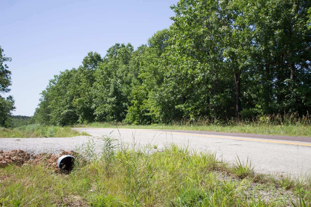 Timber Crossing Tract 7 photo 5