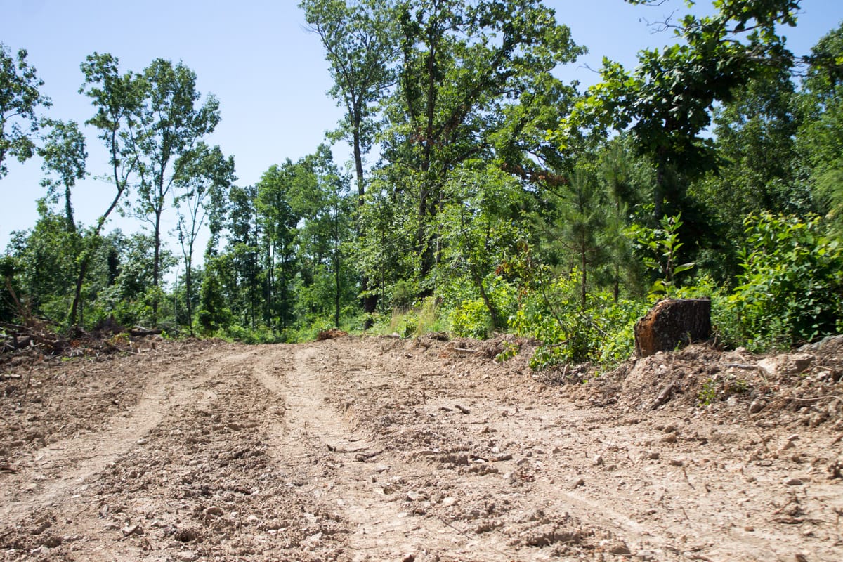 Timber Crossing Tract 7 photo 6