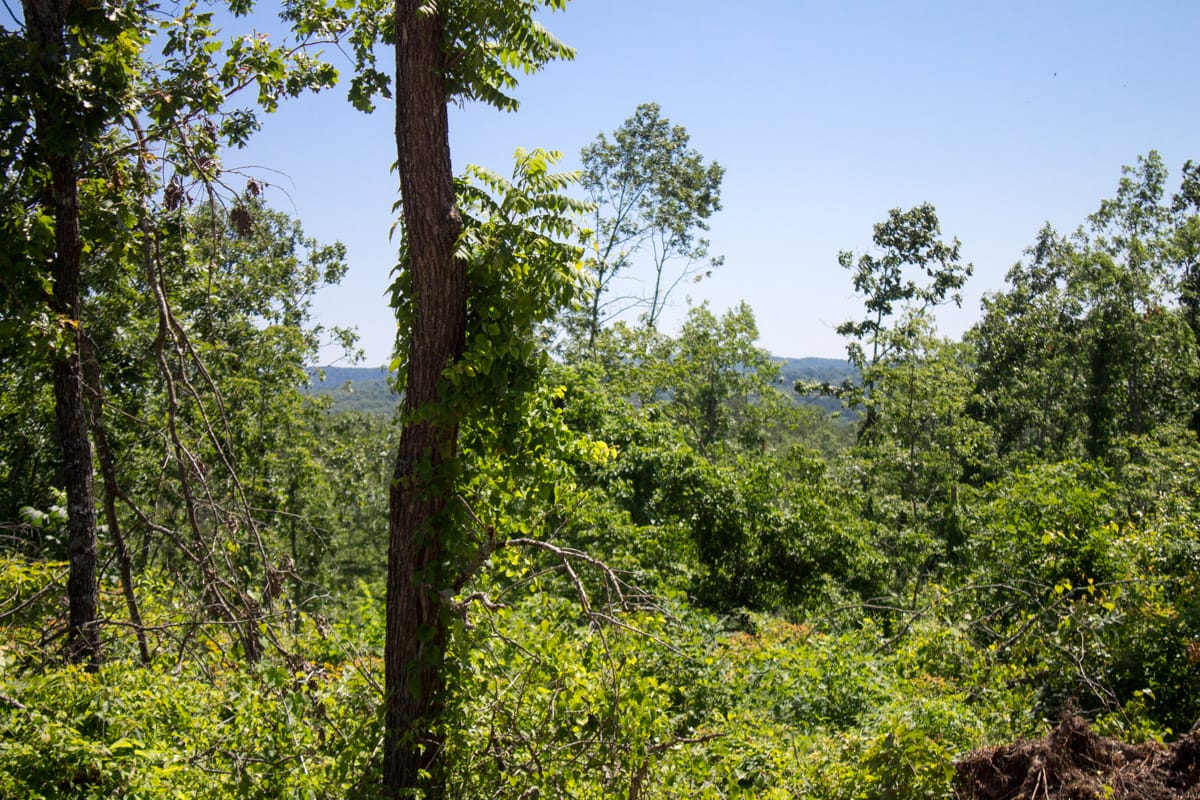Timber Crossing Tract 7 photo 16