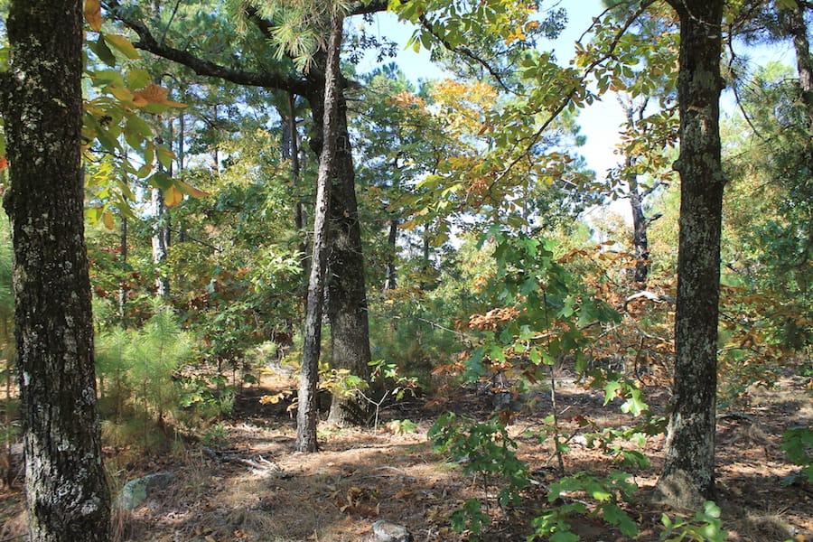Indian Ridge – Phase III Tract 111 photo 3