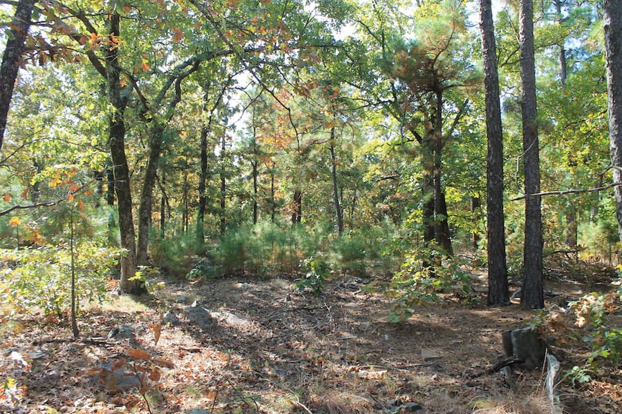 Indian Ridge – Phase III Tract 111 photo 5