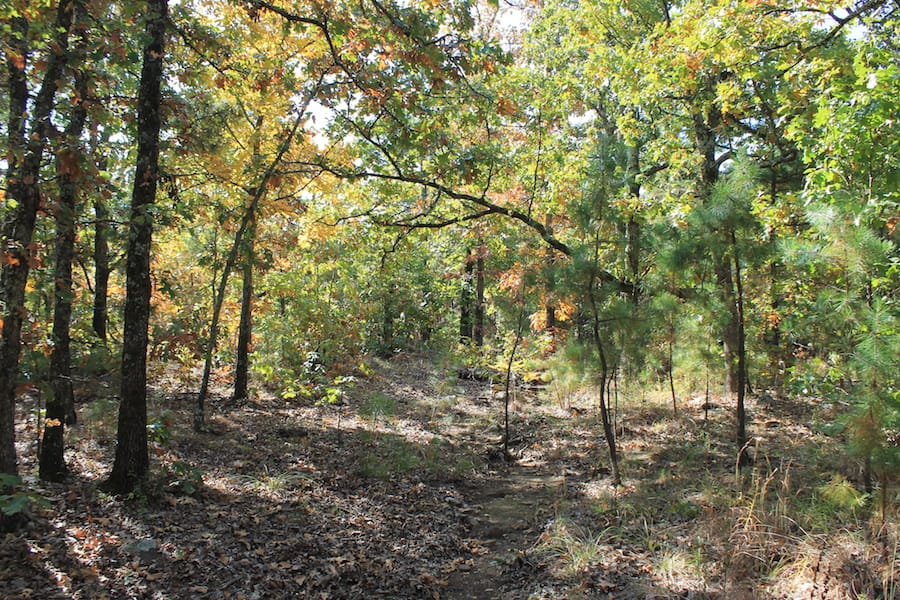 Indian Ridge – Phase III Tract 111 photo 7