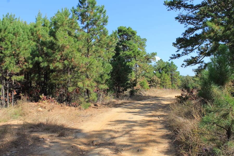 Indian Ridge – Phase III Tract 111 photo 2