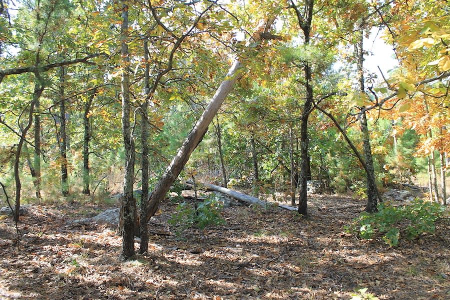 Indian Ridge – Phase III Tract 111 photo 8