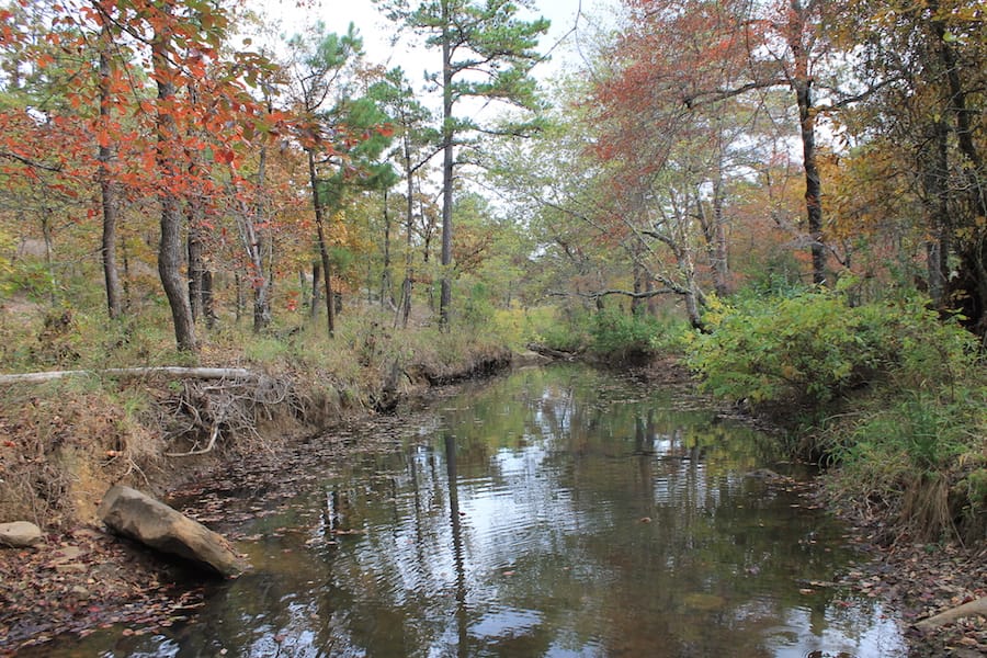 Indian Ridge – Phase III Tract 111 photo 12