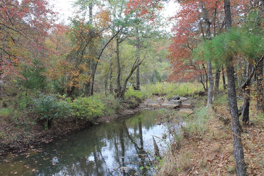 Indian Ridge – Phase III Tract 111 photo 13