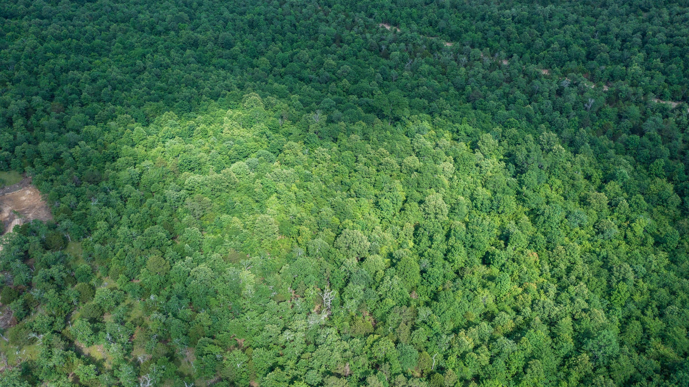 Falcon Crest Tract 24 photo 6