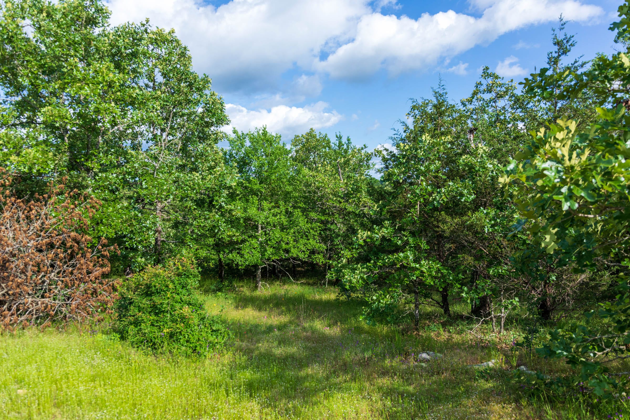 Falcon Crest Tract 24 photo 12