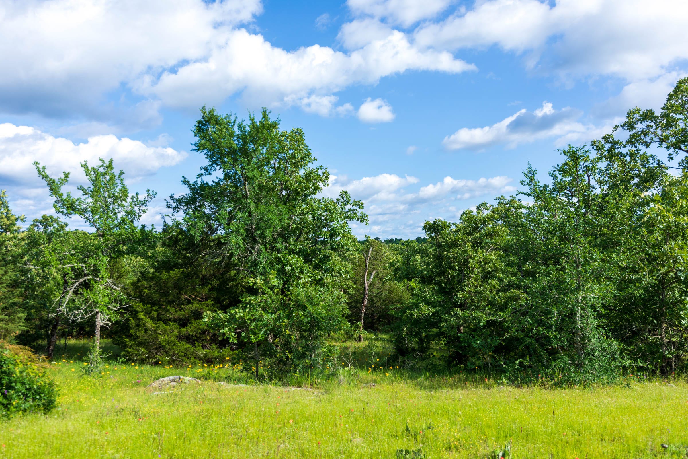 Falcon Crest Tract 24 photo 13