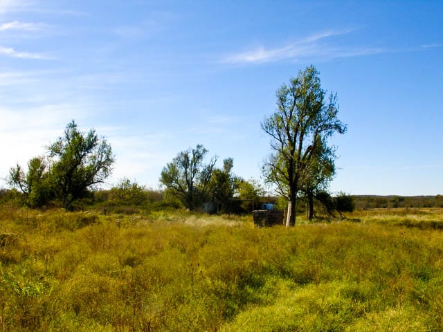 Saddlebrook Ranch Tract 15 photo 3
