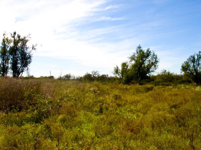 Saddlebrook Ranch Tract 15 photo 4