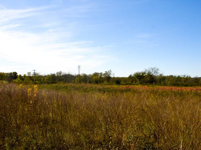 Saddlebrook Ranch Tract 15 photo 5