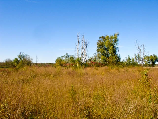 Saddlebrook Ranch Tract 15 photo 6