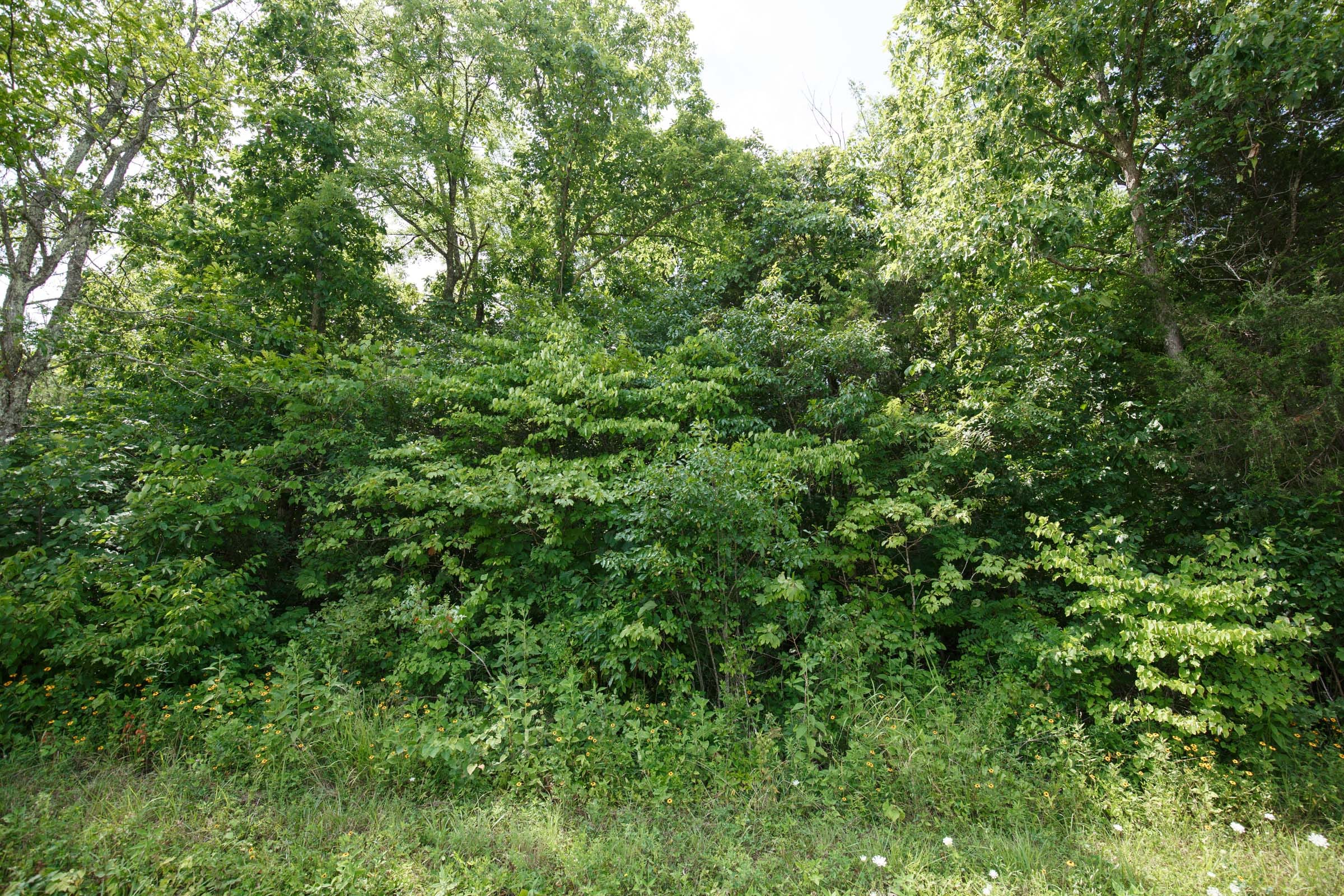 Rolling Hills Tract 2 photo 3