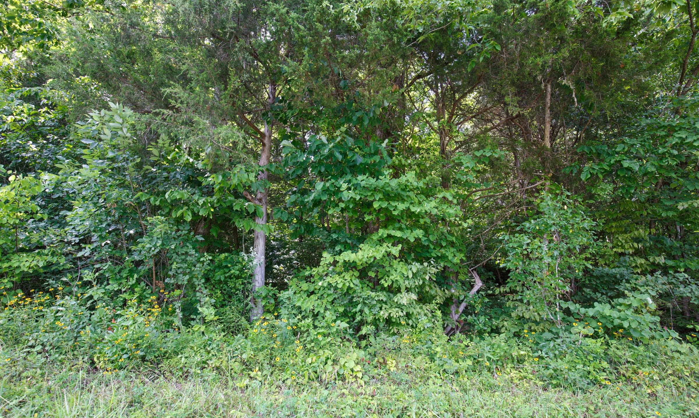 Rolling Hills Tract 2 photo 5