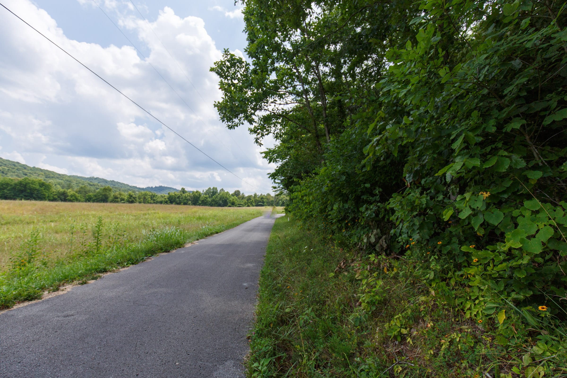 Rolling Hills Tract 2 photo 6
