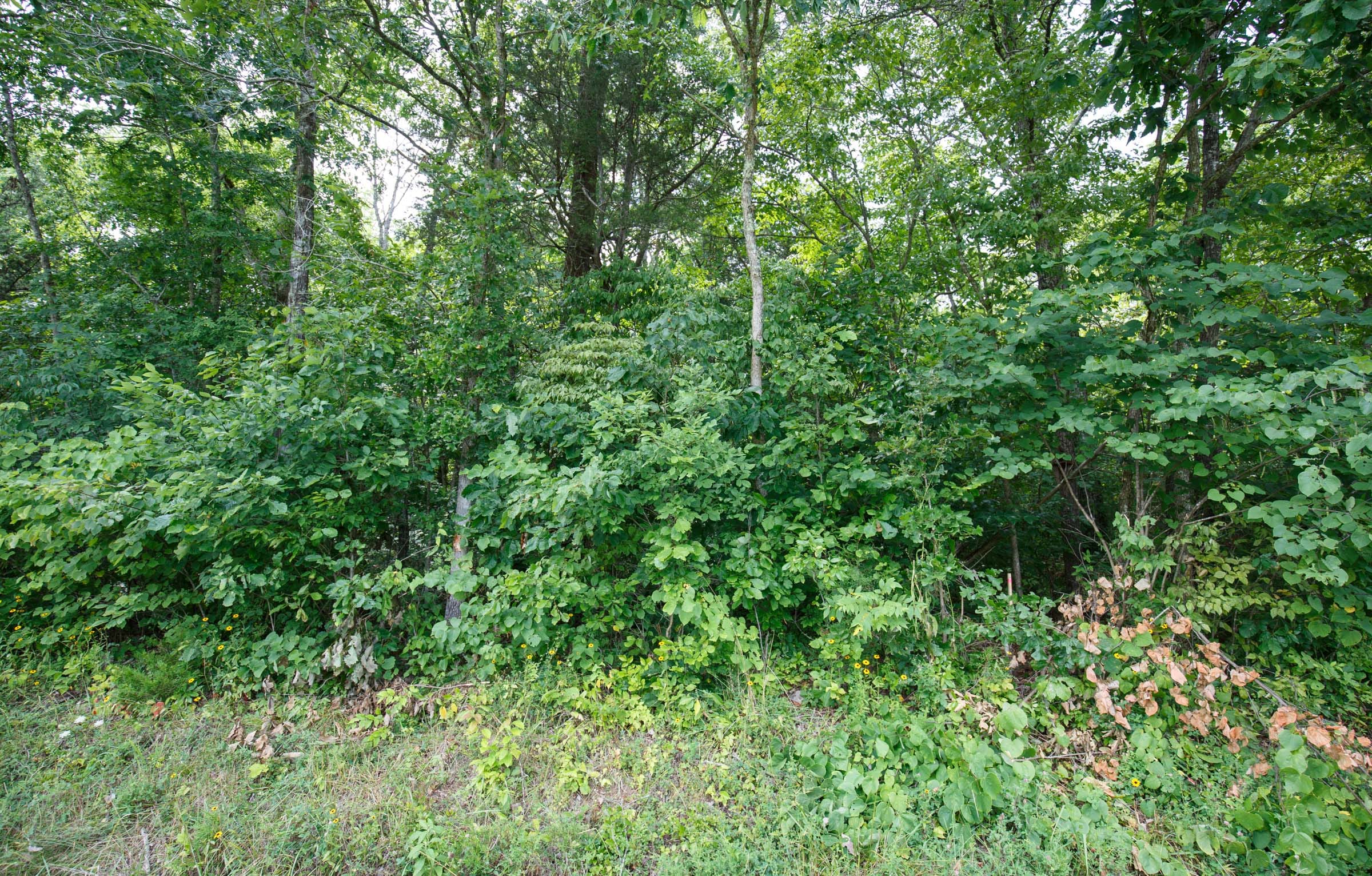 Rolling Hills Tract 2 photo 7