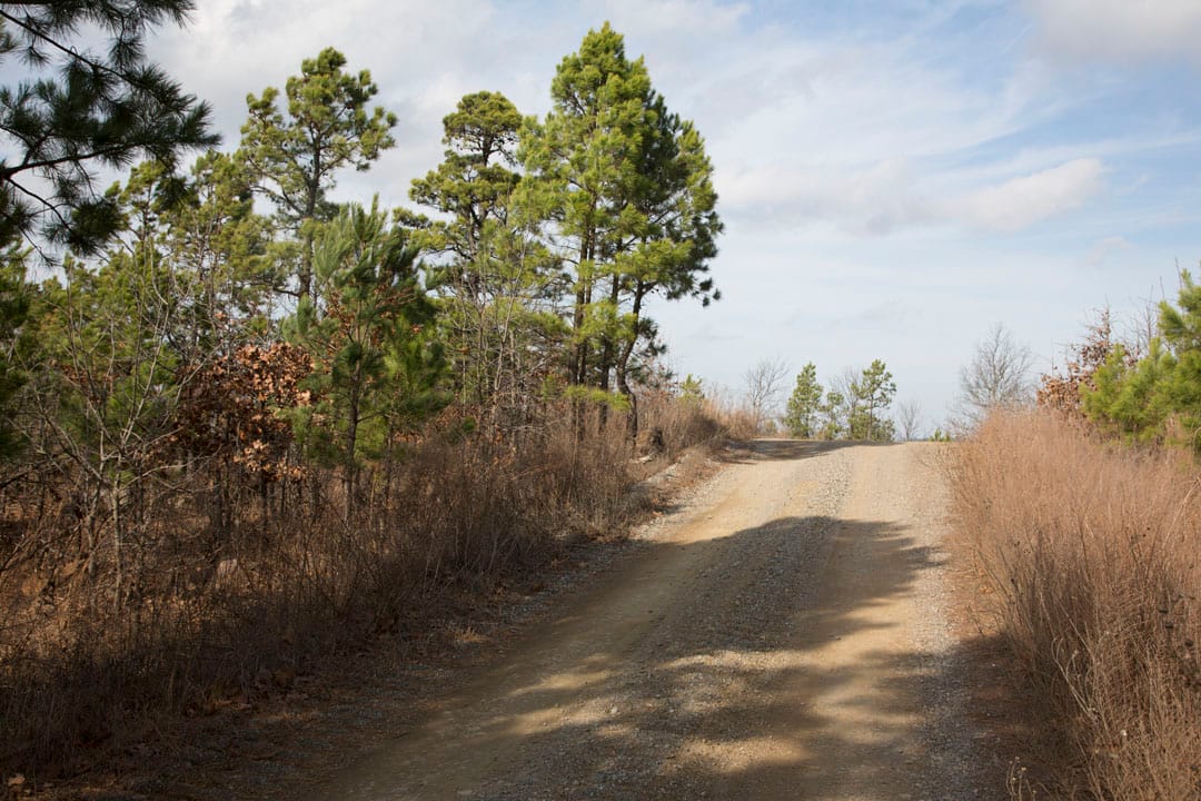 Stone Creek Phase III Tract 65 photo 1