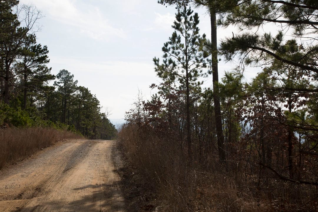 Stone Creek Phase III Tract 65 photo 2