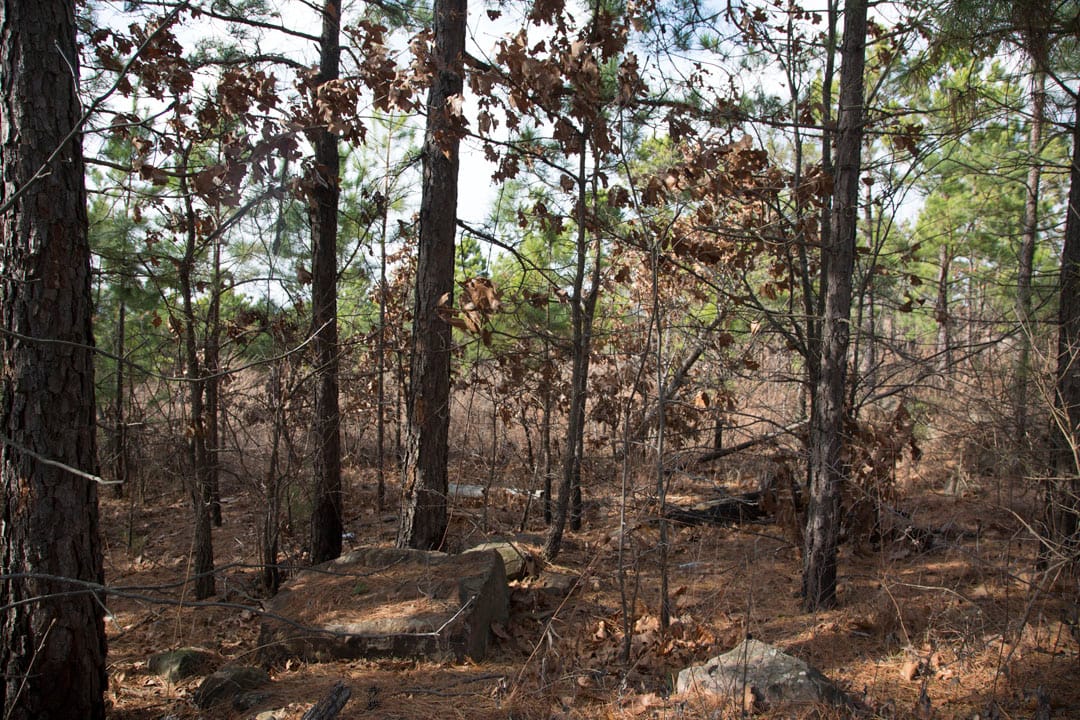 Stone Creek Phase III Tract 65 photo 3
