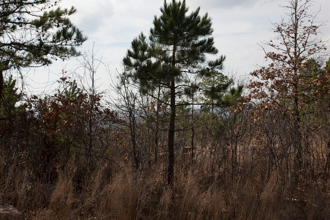 Stone Creek Phase III Tract 65 photo 5