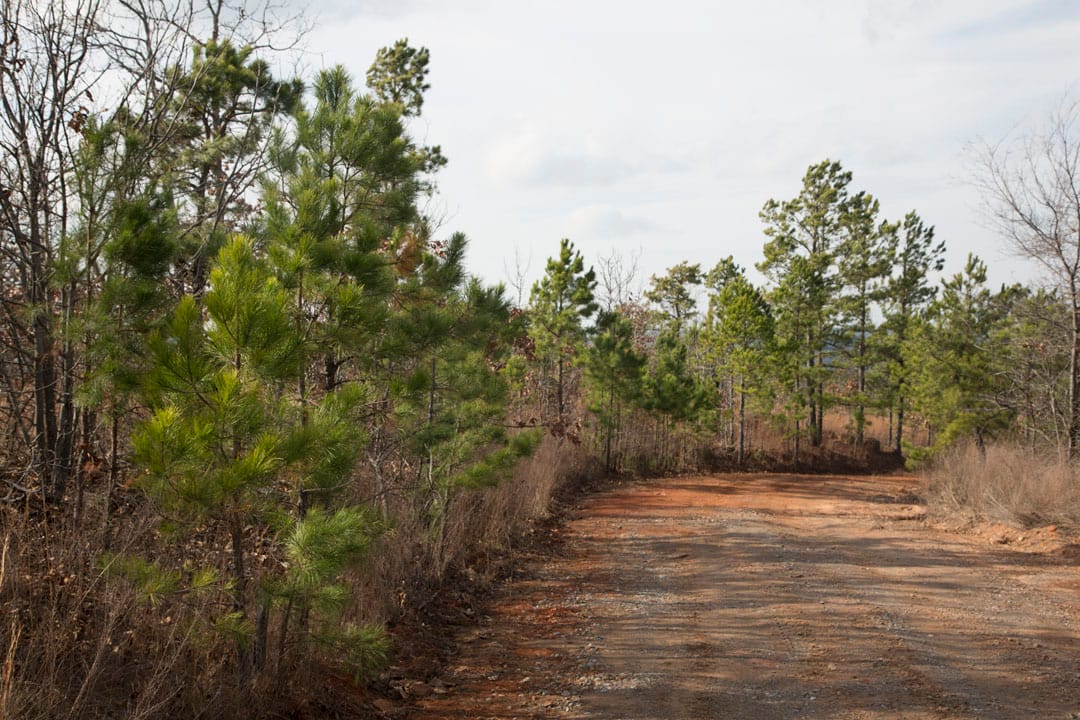 Stone Creek Phase III Tract 65 photo 6