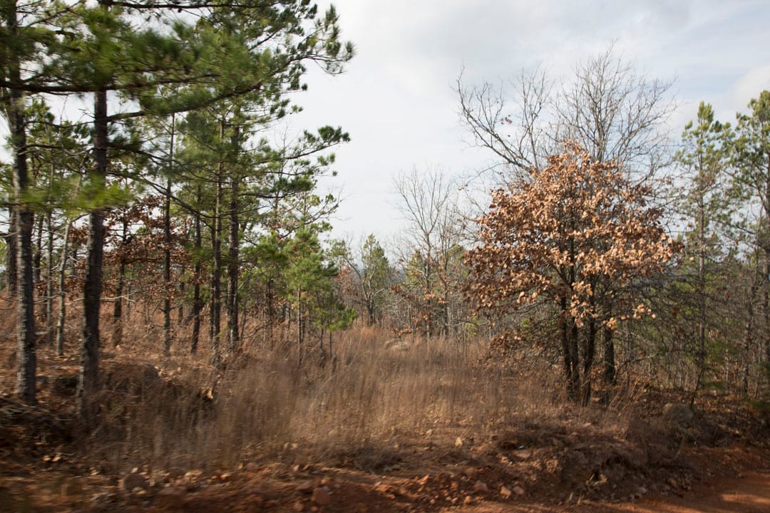 Stone Creek Phase III Tract 65 photo 8