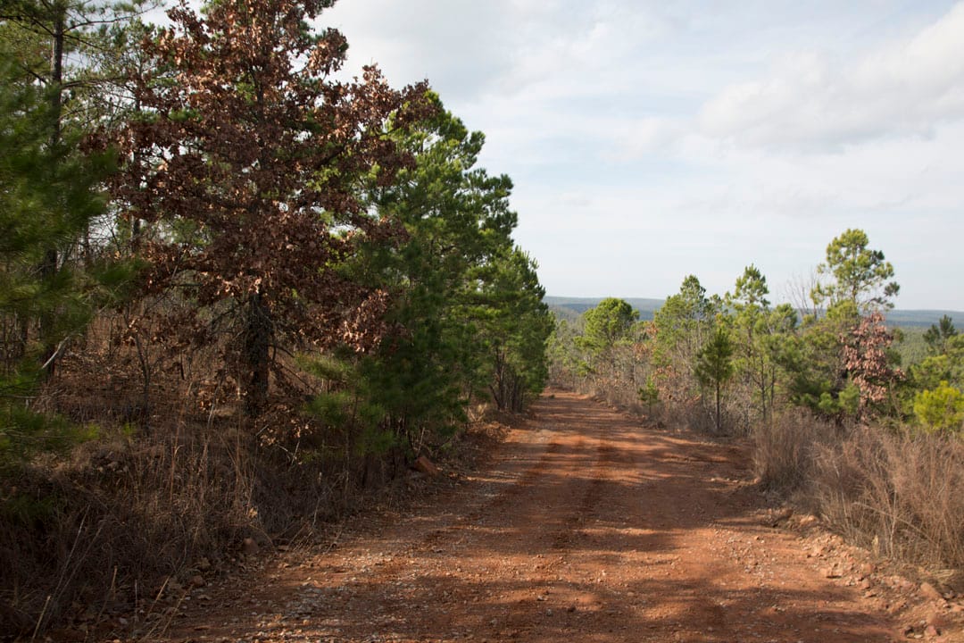 Stone Creek Phase III Tract 65 photo 9