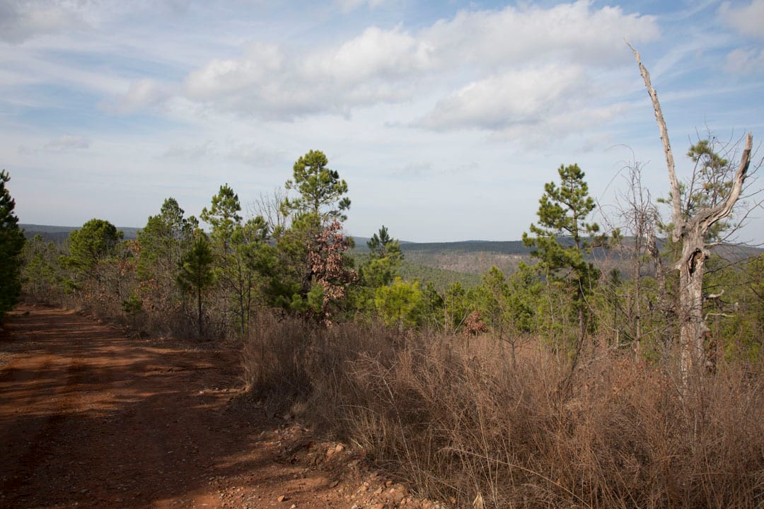 Stone Creek Phase III Tract 65 photo 10