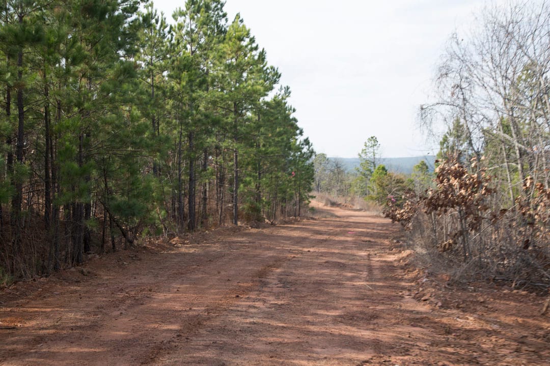 Stone Creek Phase III Tract 65 photo 11