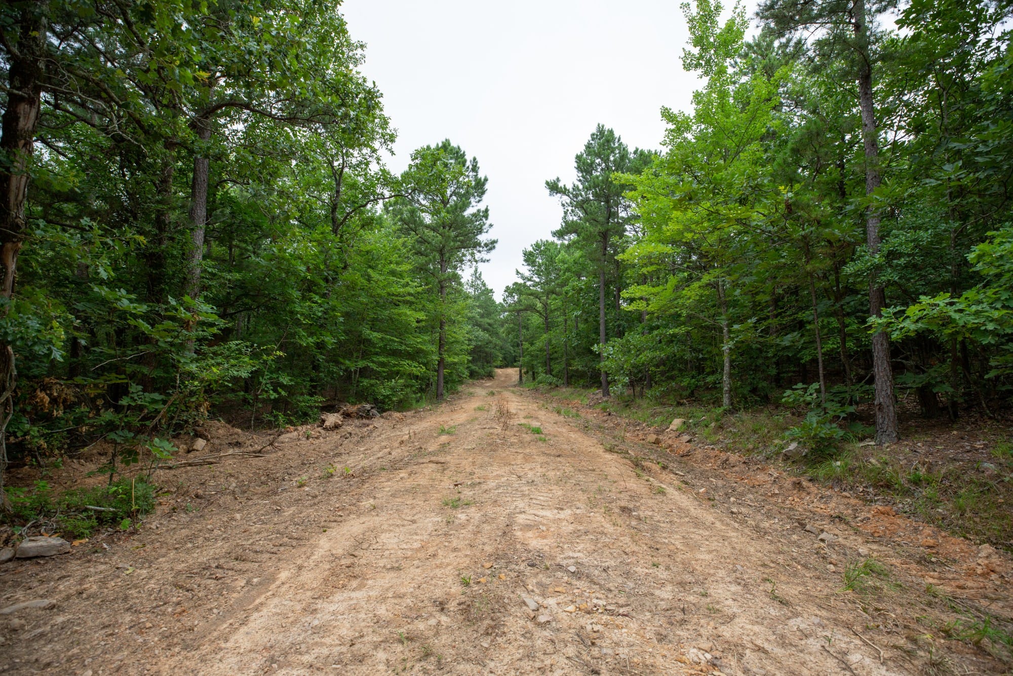 Eagle’s Nest Tract 74 photo 2