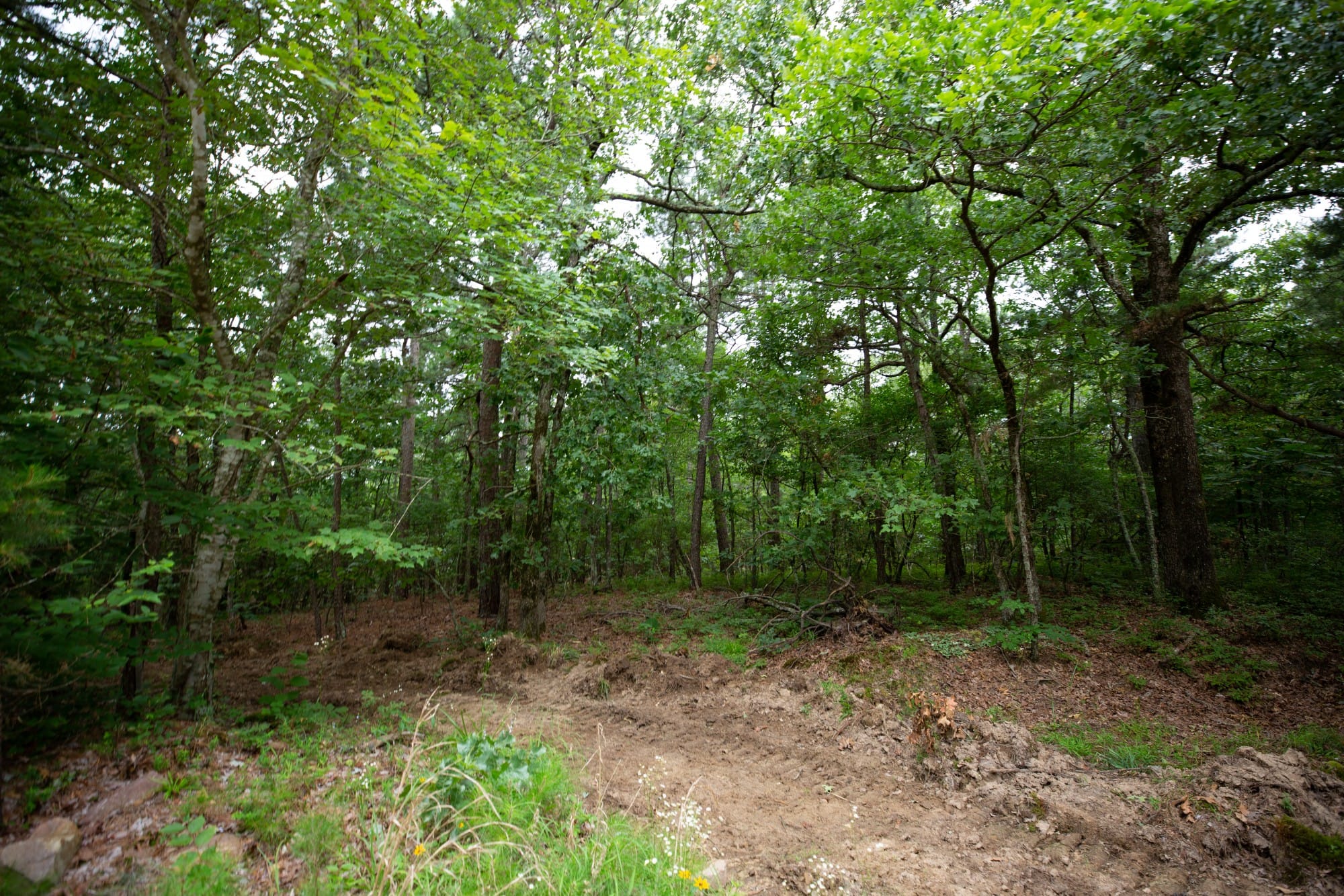 Eagle’s Nest Tract 74 photo 5