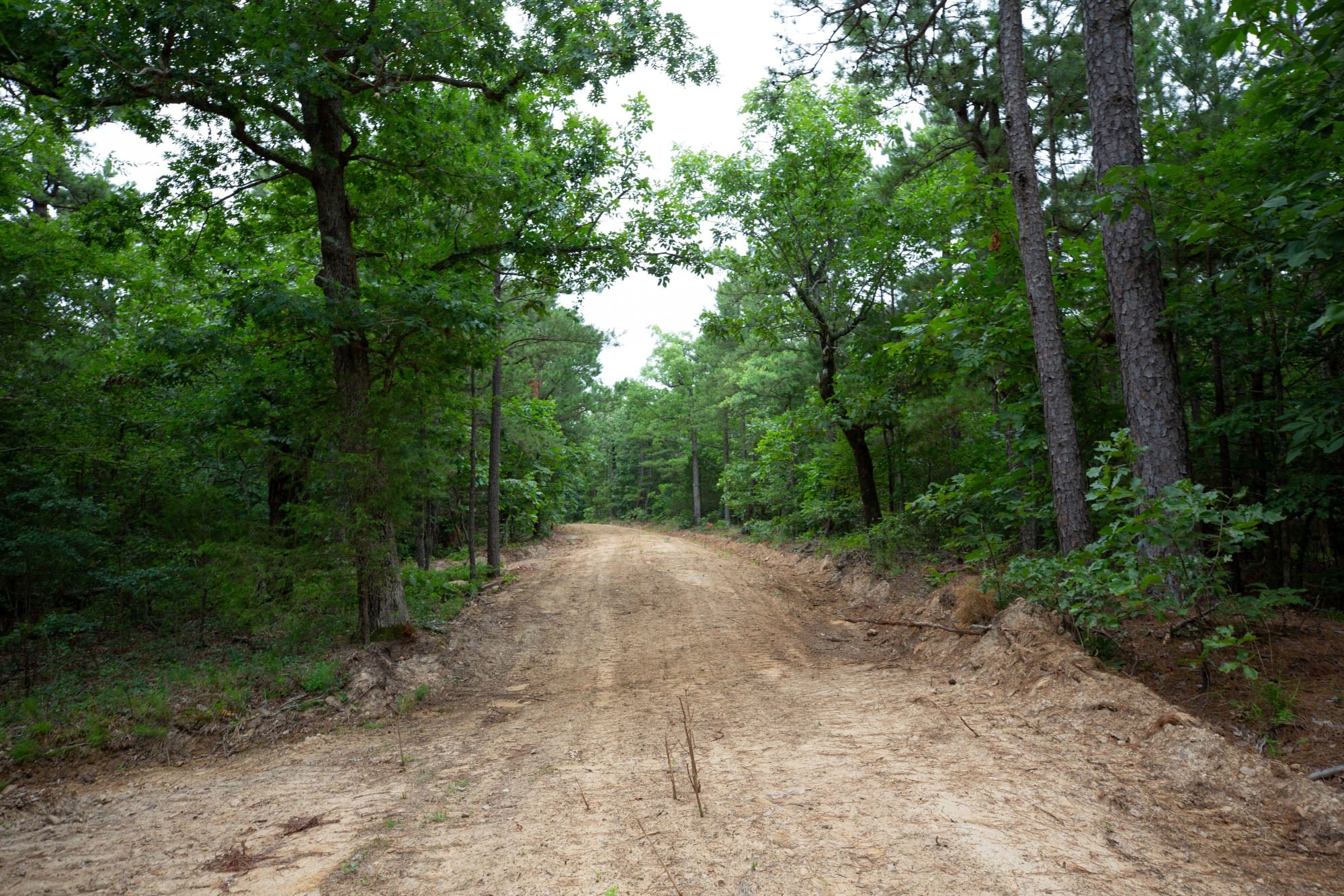 Eagle’s Nest Tract 74 photo 11