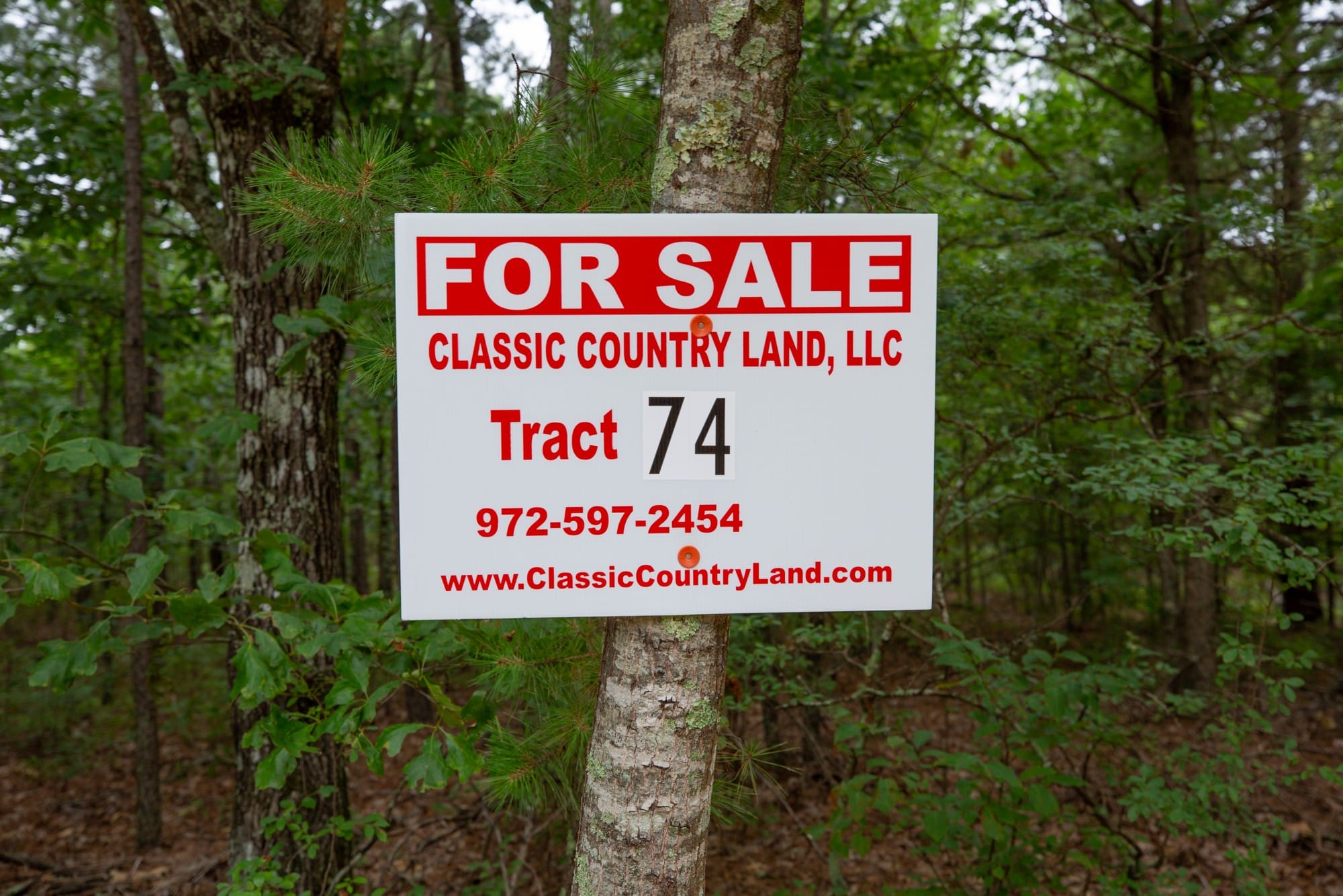 Eagle’s Nest Tract 74 photo 1