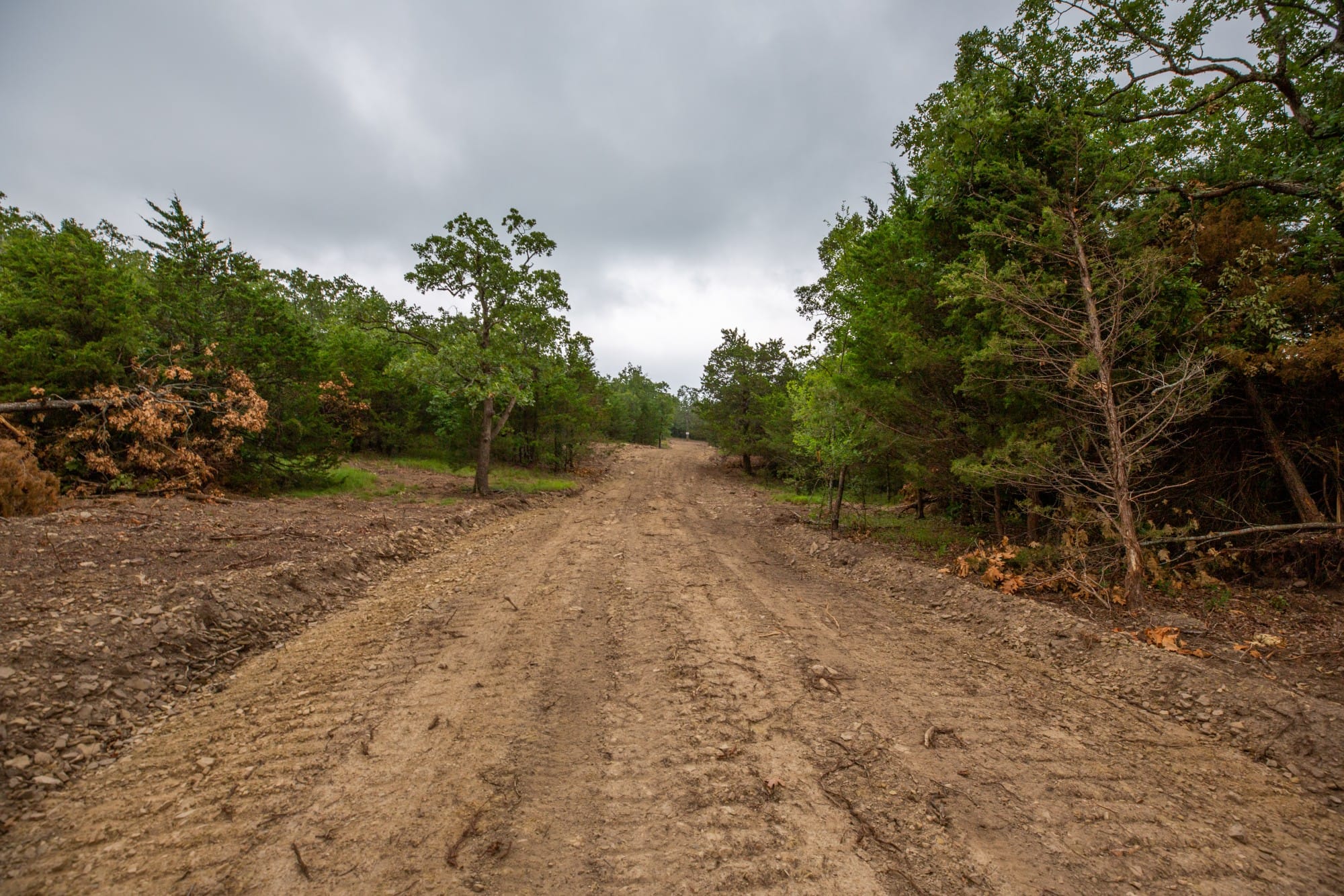 Eagle’s Nest Tract 74 photo 6
