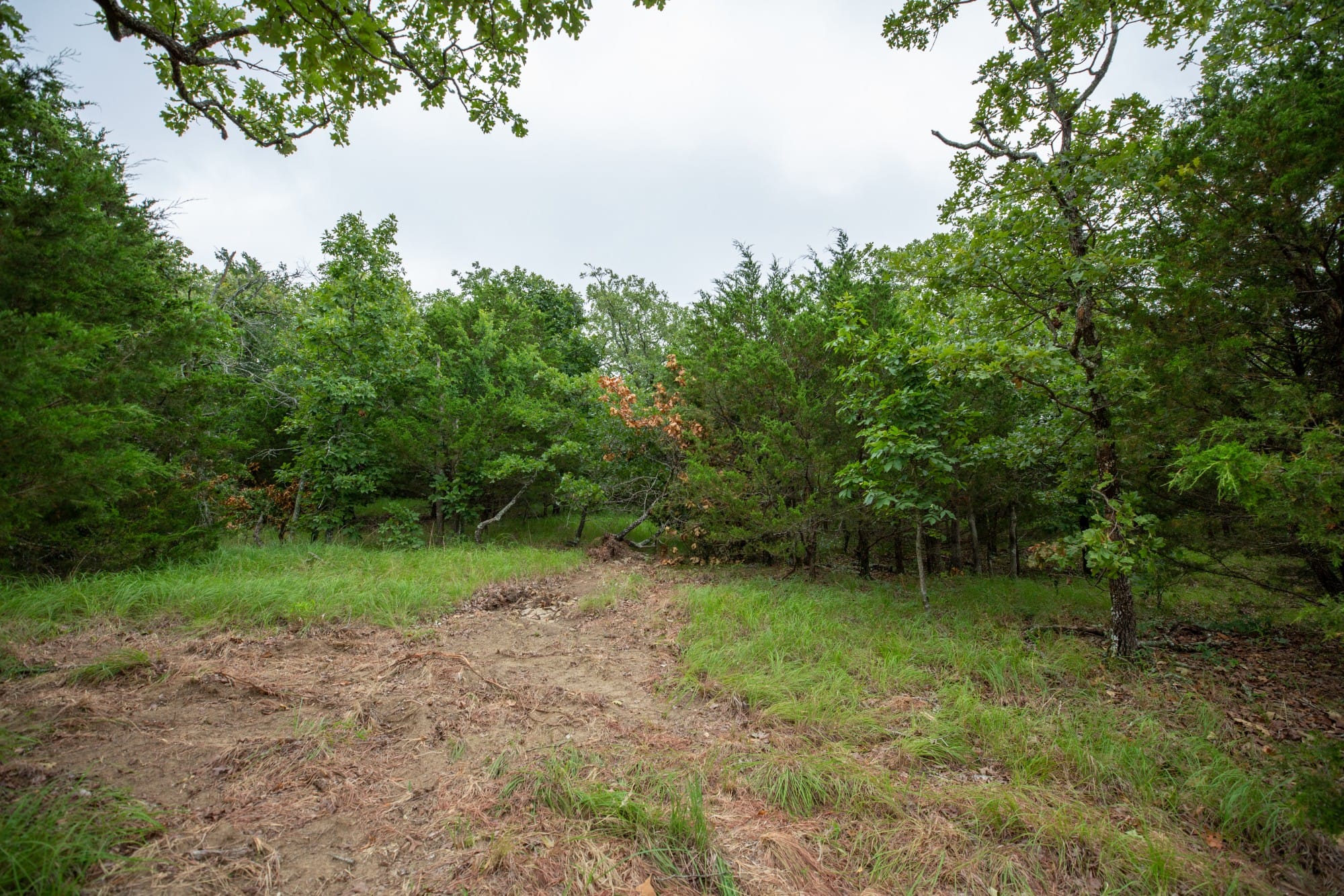 Eagle’s Nest Tract 74 photo 16